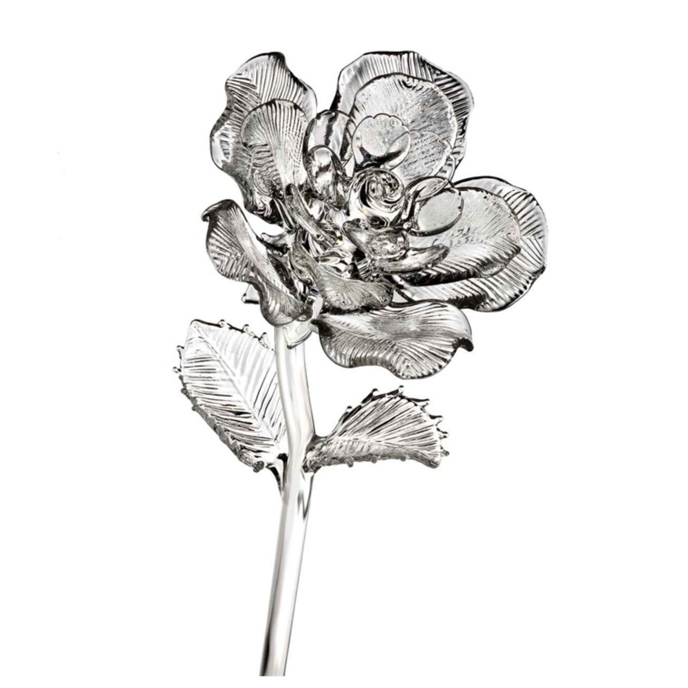 Fleurology Flowers Rose